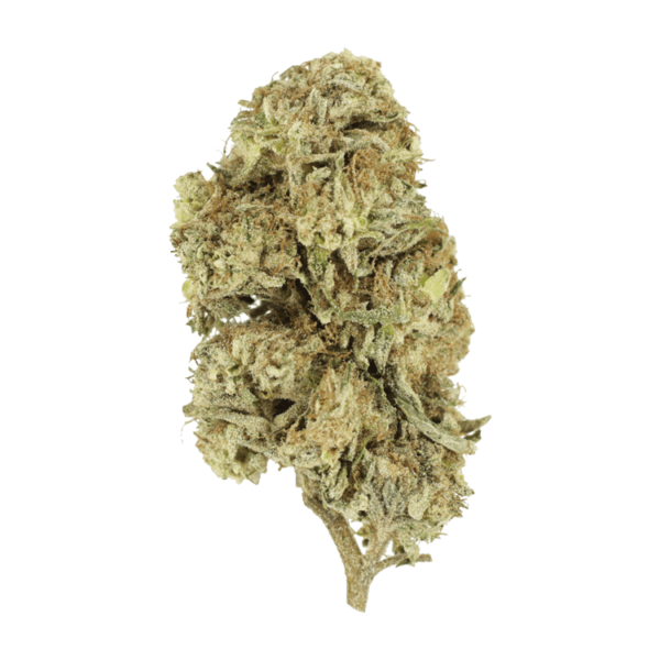 Cherry Wine (CBD) | BC Weed Edible Canada Cherry Wine (CBD) | BC Weed Edible Canada