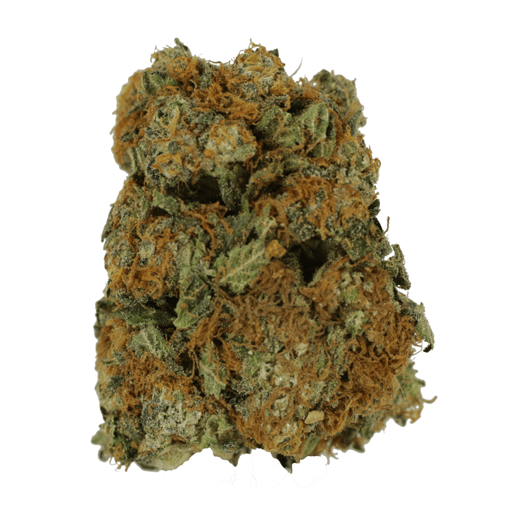 Sour Amnesia | BC Weed Edible Canada Sour Amnesia | BC Weed Edible Canada