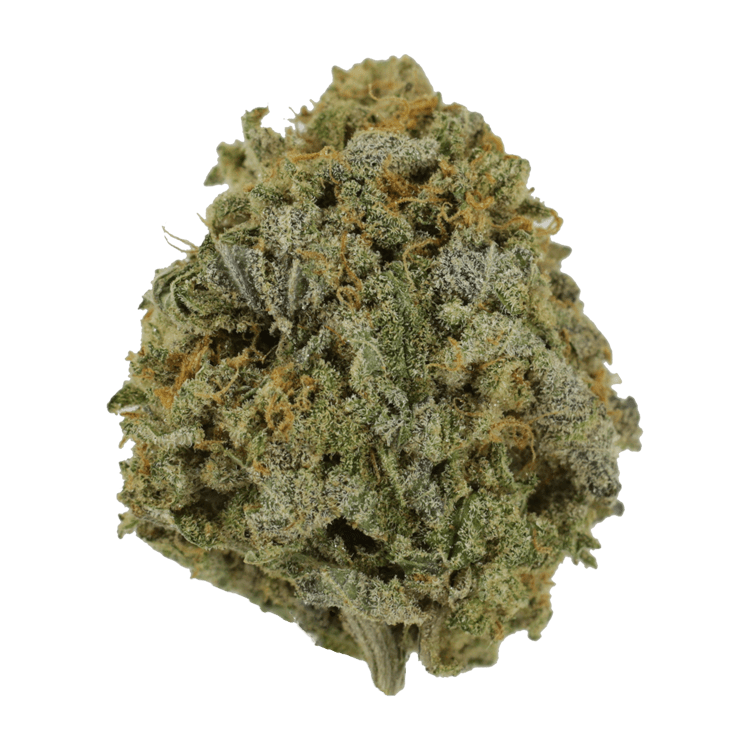 Pink Tuna (Popcorn) – $40/oz | BC Weed Edible Canada Pink Tuna (Popcorn) – $40/oz | BC Weed Edible Canada