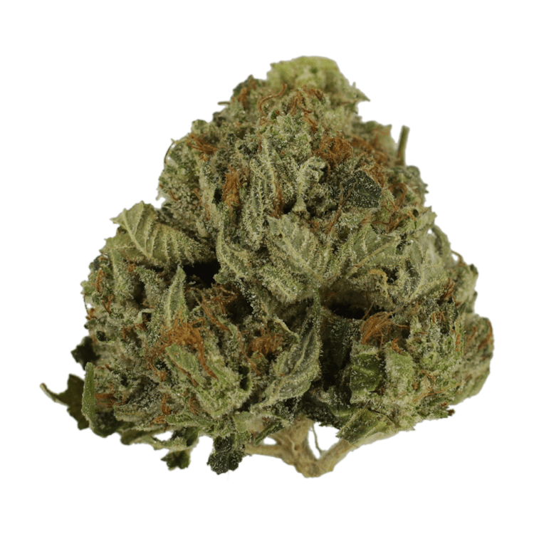 Pink Animal – 1 ounce | BC Weed Edible Canada Pink Animal – 1 ounce | BC Weed Edible Canada