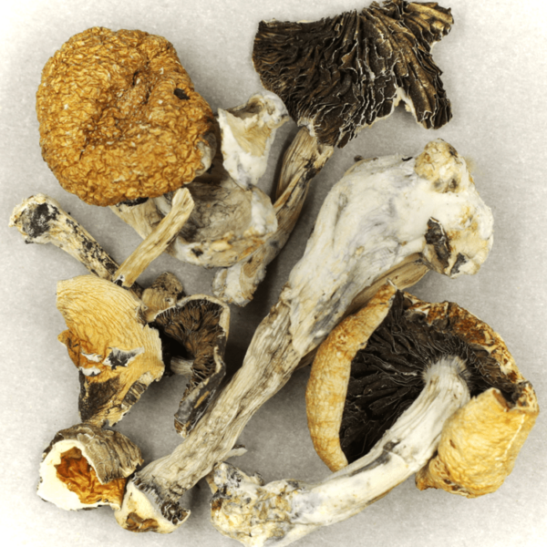 Treasure Coast | BC Weed Edible Canada Treasure Coast | BC Weed Edible Canada