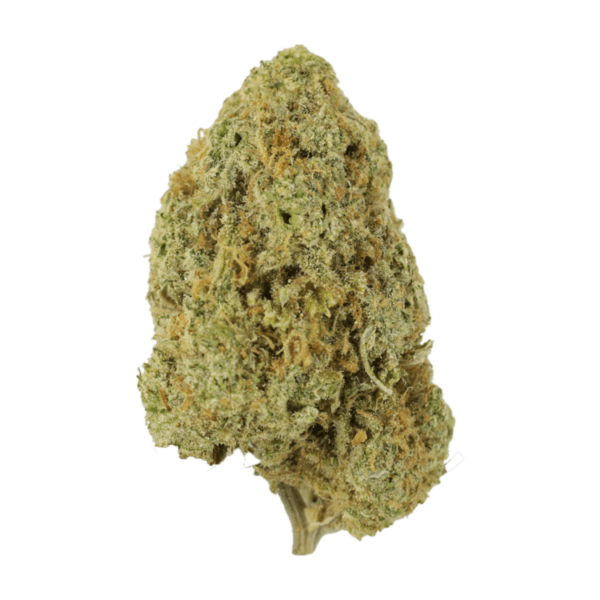 Sugar Pine | BC Weed Edible Canada Sugar Pine | BC Weed Edible Canada