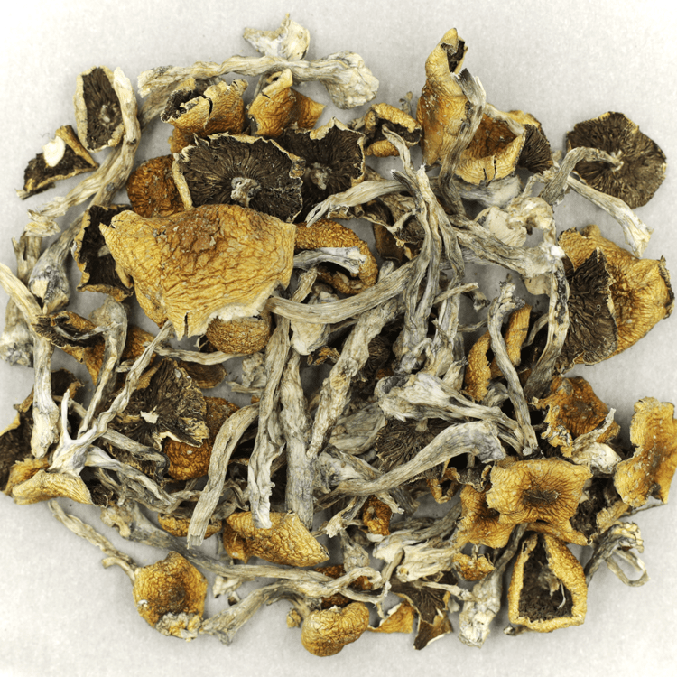 Florida White | BC Weed Edible Canada Florida White | BC Weed Edible Canada