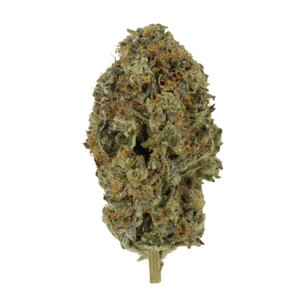 Acapulco Gold | BC Weed Edible Canada Acapulco Gold | BC Weed Edible Canada