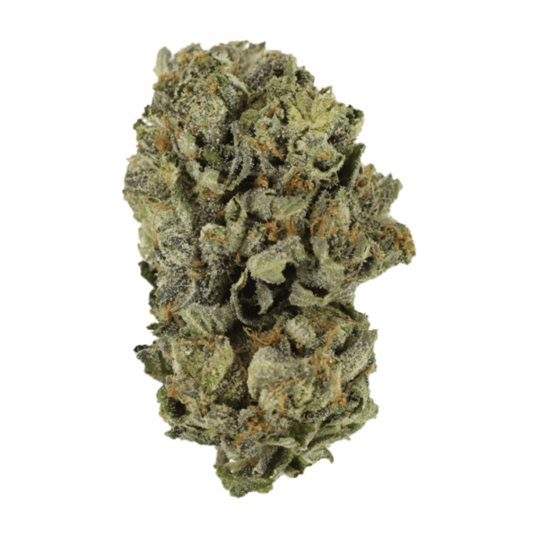 Cerebro Haze | BC Weed Edible Canada Cerebro Haze | BC Weed Edible Canada