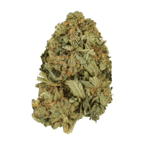 G13 | BC Weed Edible Canada G13 | BC Weed Edible Canada