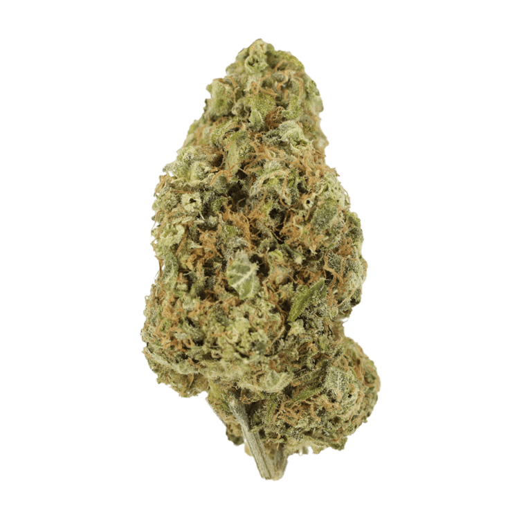 Sour Jack | BC Weed Edible Canada Sour Jack | BC Weed Edible Canada