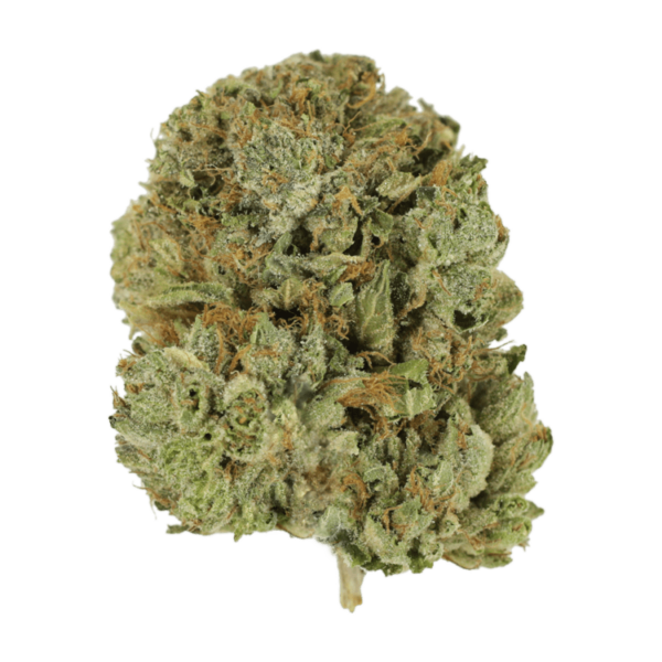 Pink Taco | BC Weed Edible Canada Pink Taco | BC Weed Edible Canada