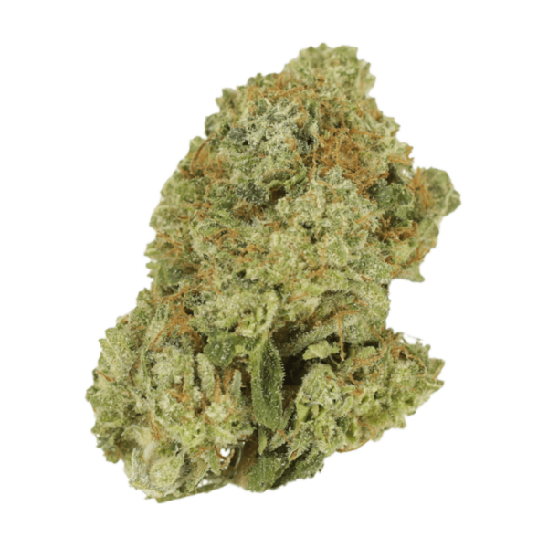 Malawi Gold | BC Weed Edible Canada Malawi Gold | BC Weed Edible Canada