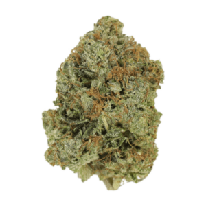 Jack Herer (popcorn) | BC Weed Edible Canada Jack Herer (popcorn) | BC Weed Edible Canada