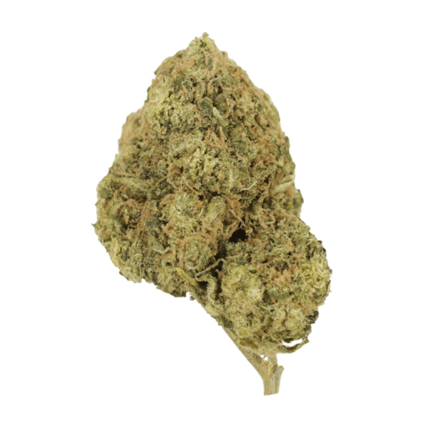 Laughing Buddha | BC Weed Edible Canada Laughing Buddha | BC Weed Edible Canada