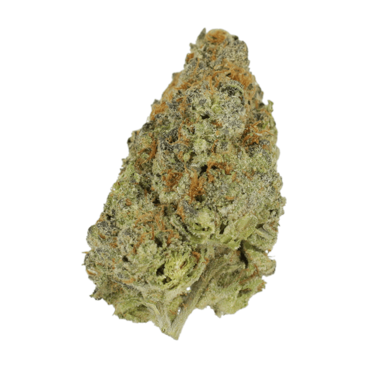 Lilac Diesel | BC Weed Edible Canada Lilac Diesel | BC Weed Edible Canada