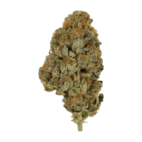 Key Lime Pie | BC Weed Edible Canada Key Lime Pie | BC Weed Edible Canada