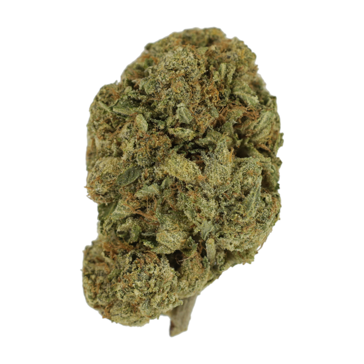 Grape Ape (AAA) | BC Weed Edible Canada Grape Ape (AAA) | BC Weed Edible Canada