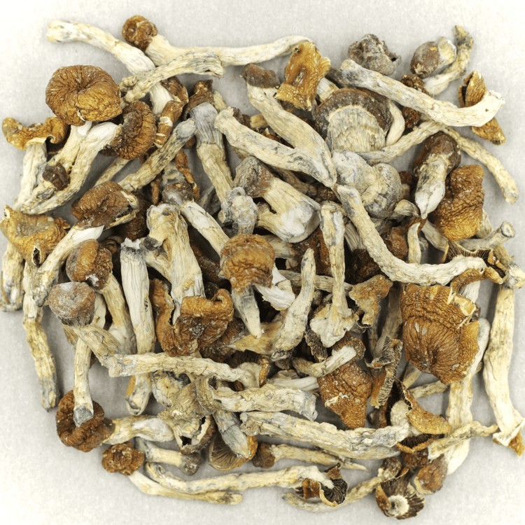 Florida White | BC Weed Edible Canada Florida White | BC Weed Edible Canada