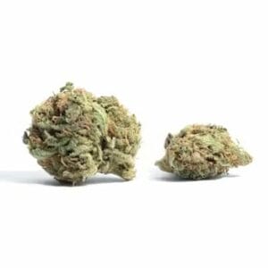 WHITE TRUFFLE | BC Weed Edible Canada BC Weed Edible Canada - White Truffle | BC Weed Edible Canada