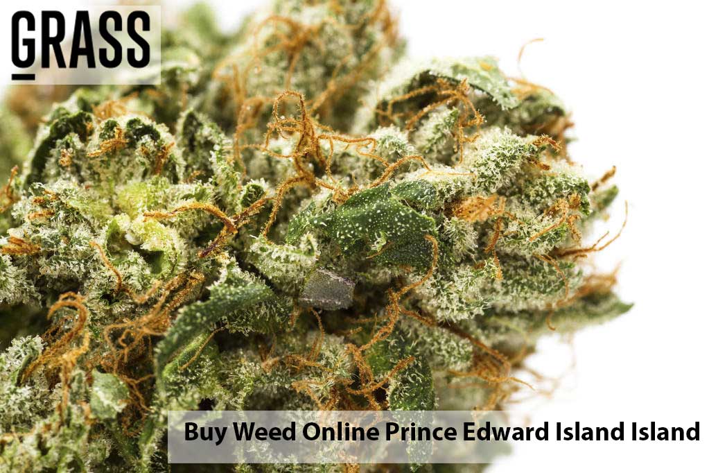 Buy edibles Online Prince Edward Island | BC Weed Edible Canada  | BC Weed Edible Canada