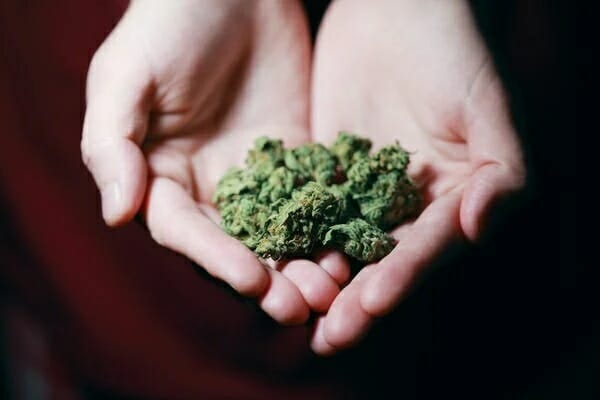 Buy edibles at the Best Online Dispensary Manitoba | BC Weed Edible Canada  | BC Weed Edible Canada