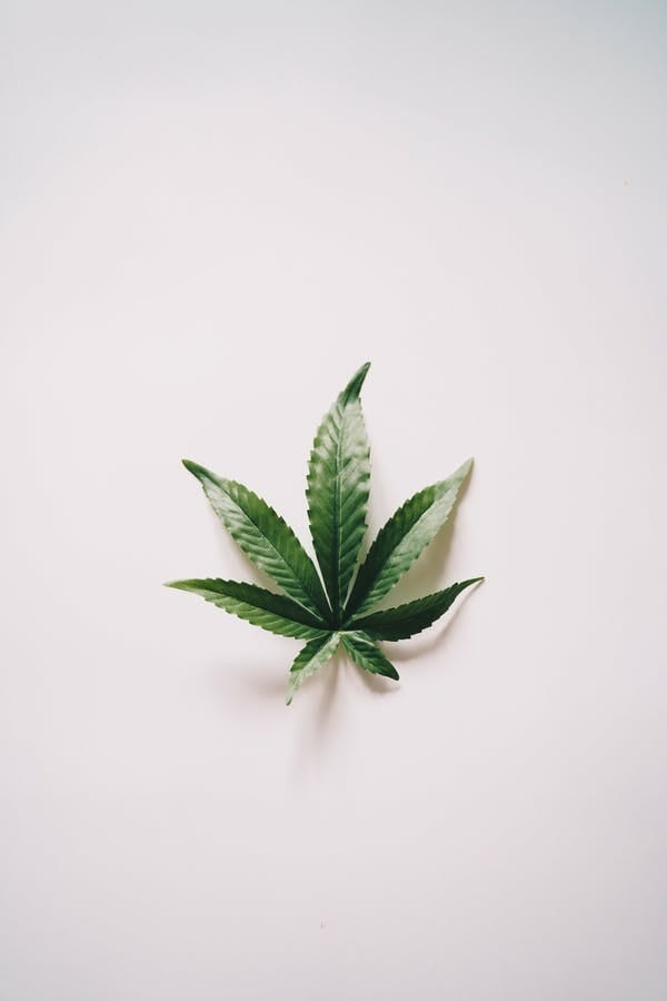 Buy edibles at the Best Online Dispensary Manitoba | BC Weed Edible Canada  | BC Weed Edible Canada