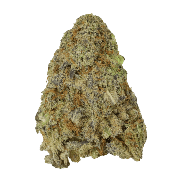 Himalayan Blackberry – 1oz / $50 | BC Weed Edible Canada Himalayan Blackberry – 1oz / $50 | BC Weed Edible Canada