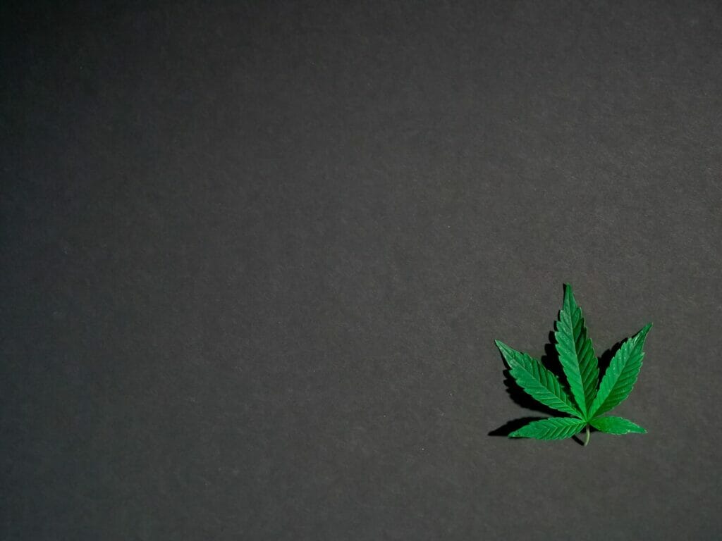 | BC Weed Edible Canada Hybrid - weed | BC Weed Edible Canada