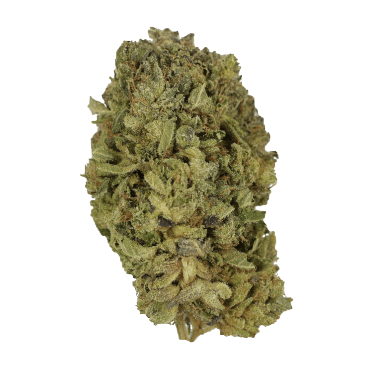 Nerds – $35/oz | BC Weed Edible Canada Nerds – $35/oz | BC Weed Edible Canada