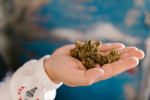 Buy edibles Online Nunavut | BC Weed Edible Canada  | BC Weed Edible Canada