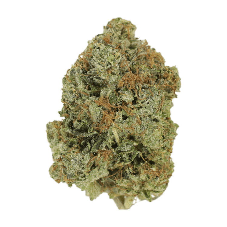 Time Warp – $40/oz | BC Weed Edible Canada Time Warp – $40/oz | BC Weed Edible Canada