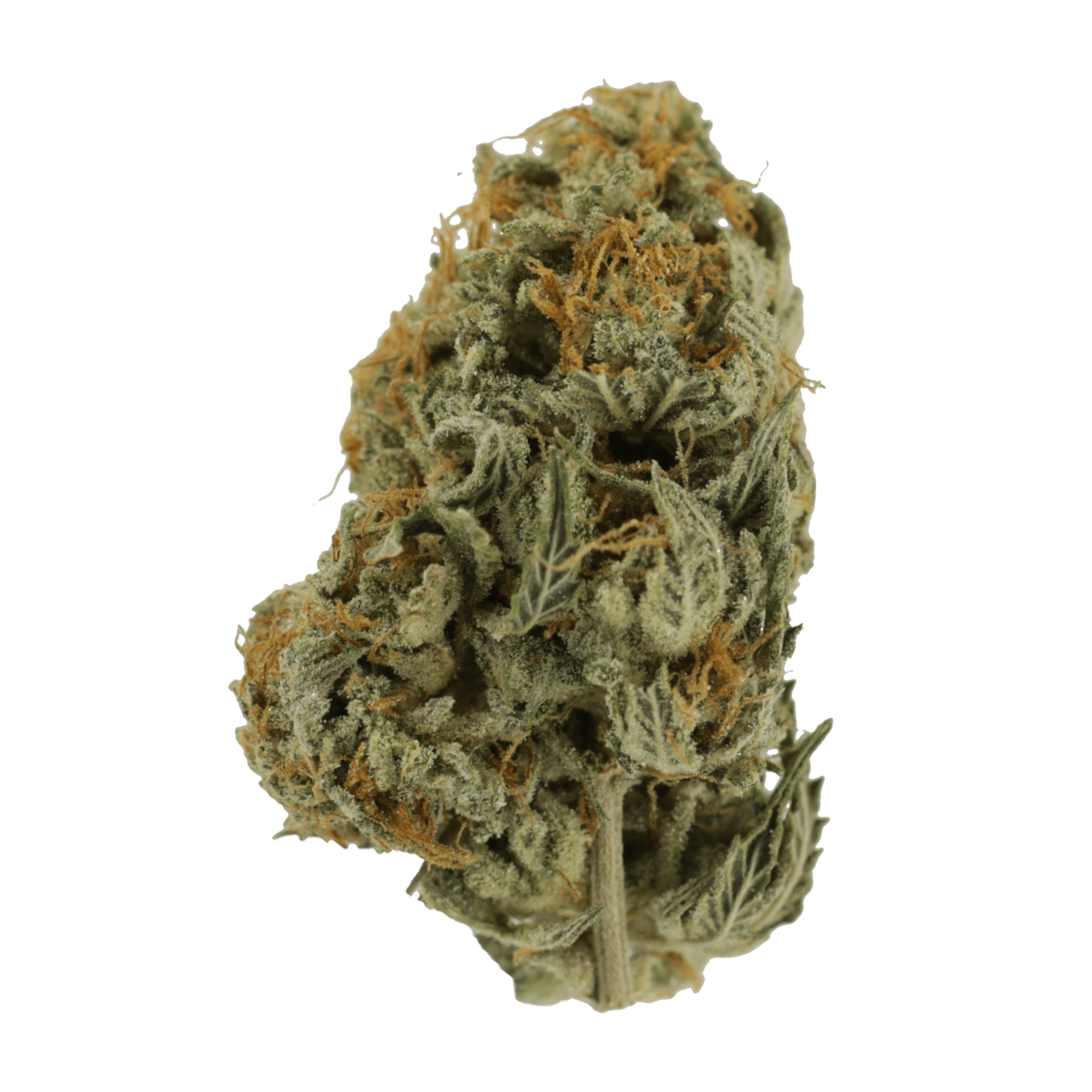 Moonrocks Flower | BC Weed Edible Canada Moonrocks Flower | BC Weed Edible Canada