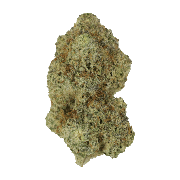 Dosi Punch | BC Weed Edible Canada Dosi Punch | BC Weed Edible Canada