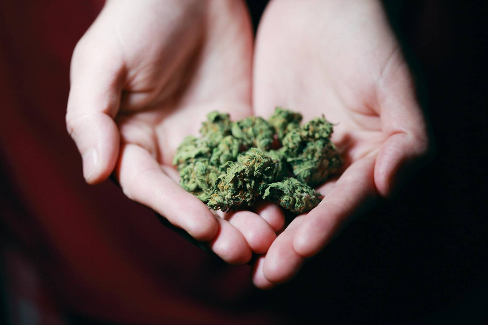 | BC Weed Edible Canada Best dispensary in canada | BC Weed Edible Canada
