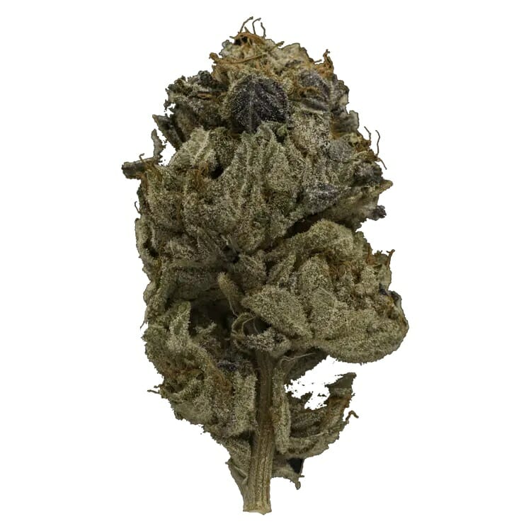 Enjoy the Heavy Indica Effects of Pink Gas Mask Strain | BC Weed Edible Canada  | BC Weed Edible Canada