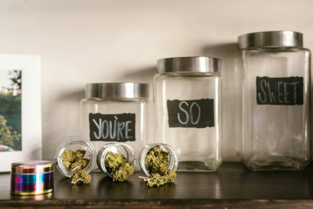 Beyond the Bud: The Role of a edibles Dispensary in Promoting Wellness | BC Weed Edible Canada  | BC Weed Edible Canada