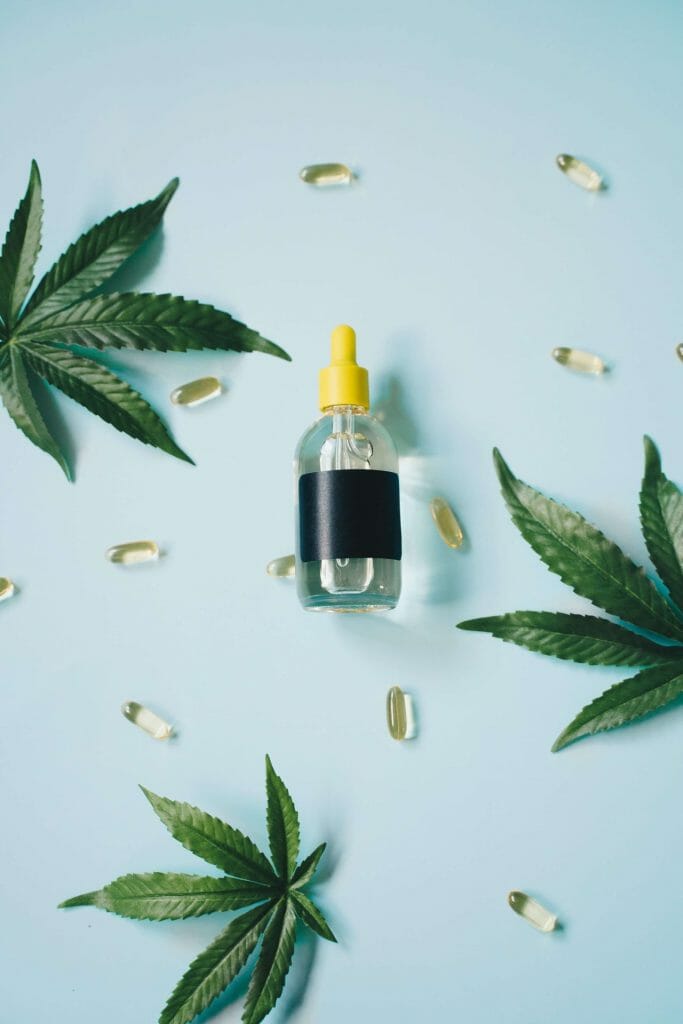 Cannabis Winnipeg Users: How edibles Improves Focus | BC Weed Edible Canada  | BC Weed Edible Canada