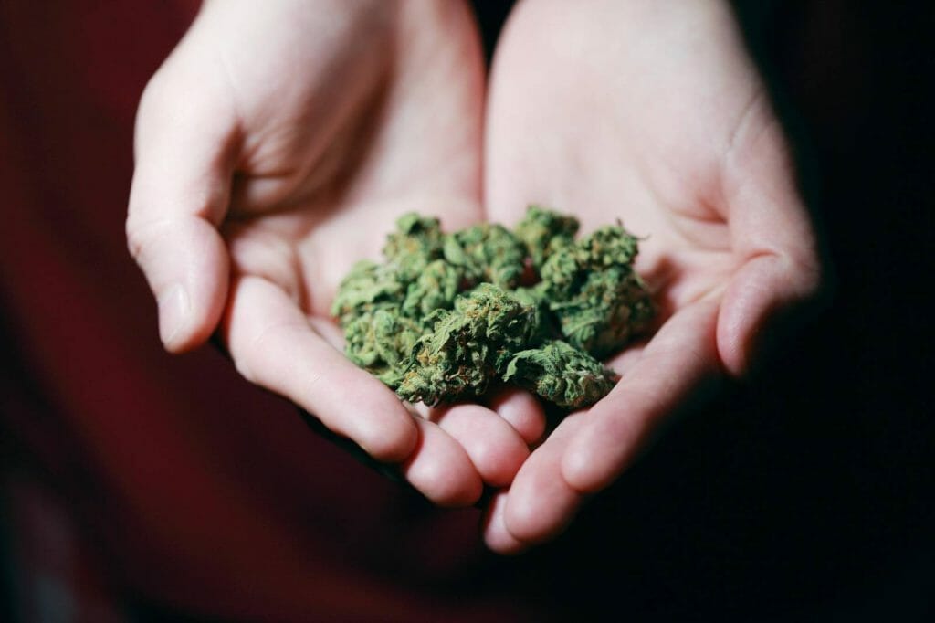 Elevate Your High With The Best Ontario edibles Strains | BC Weed Edible Canada  | BC Weed Edible Canada