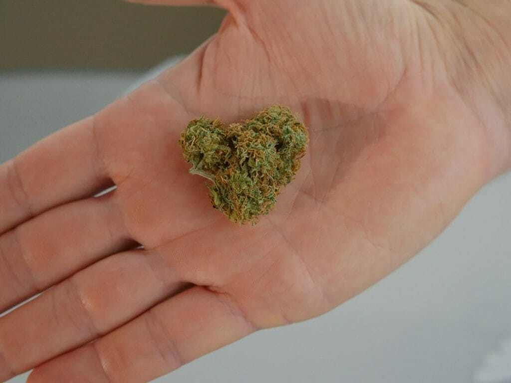 | BC Weed Edible Canada cannabis marijuana Canada | BC Weed Edible Canada