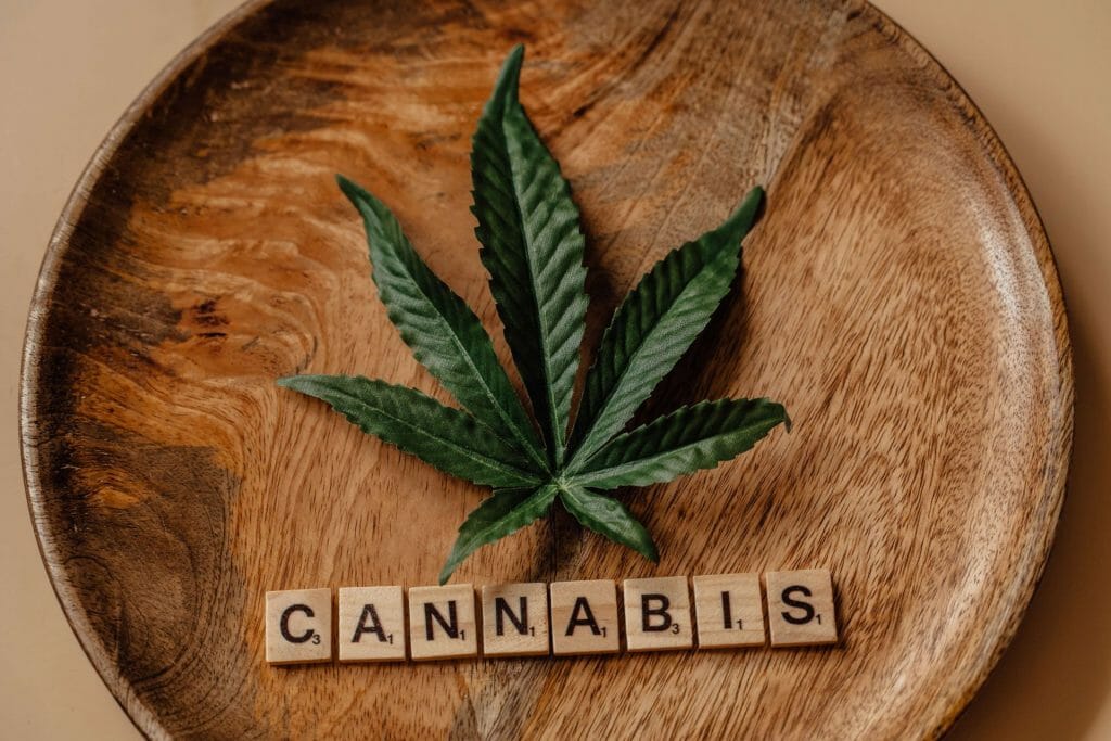 Beyond the Bud: The Role of a edibles Dispensary in Promoting Wellness | BC Weed Edible Canada  | BC Weed Edible Canada