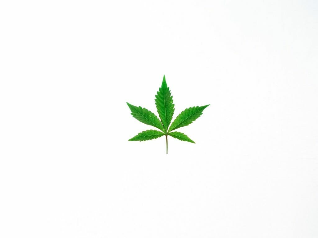 | BC Weed Edible Canada Benefits of Shopping in a BC edibles Online Dispensary | BC Weed Edible Canada