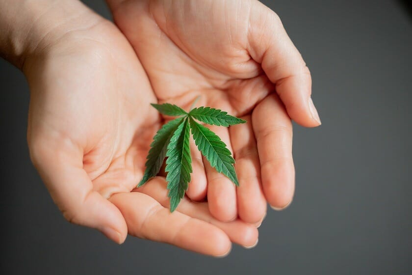 | BC Weed Edible Canada BC Weed Edible Canada - Hybrid edibles Strains | BC Weed Edible Canada