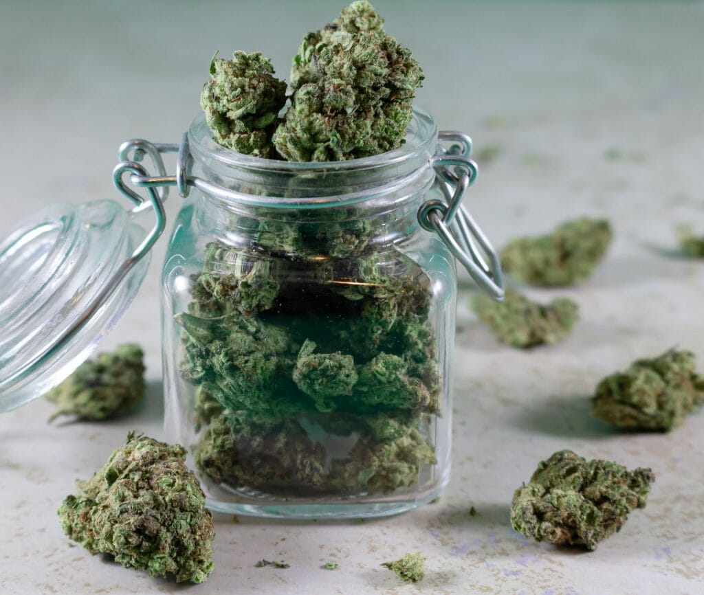 Bulk Weed: Unlocking the Power of Wholesale Cannabis | BC Weed Edible Canada  | BC Weed Edible Canada