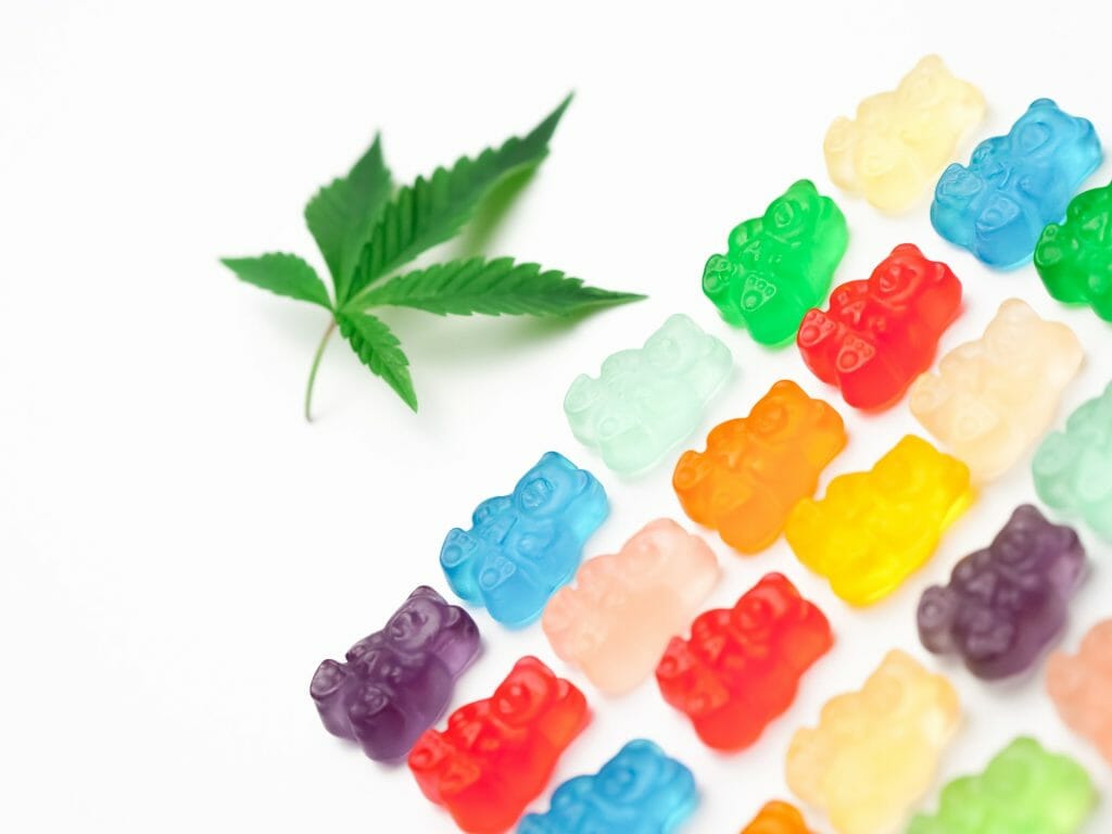 Edible Delights: A Guide to the Most Delicious edibles in Edmonton | BC Weed Edible Canada  | BC Weed Edible Canada