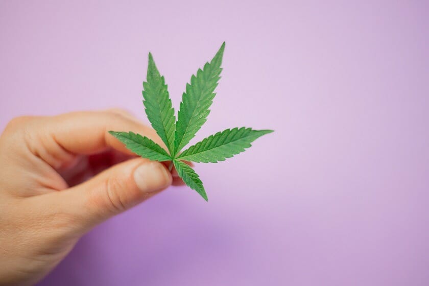 Discover How A edibles Shop Helps You Better Understand Cannabis  | BC Weed Edible Canada  | BC Weed Edible Canada