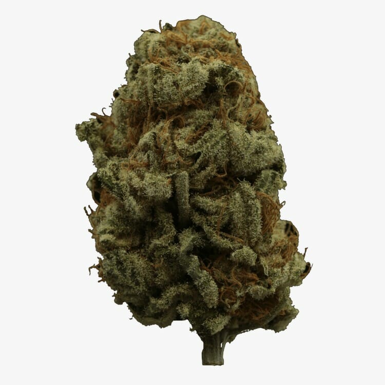 Black Lime | BC Weed Edible Canada Black Lime | BC Weed Edible Canada