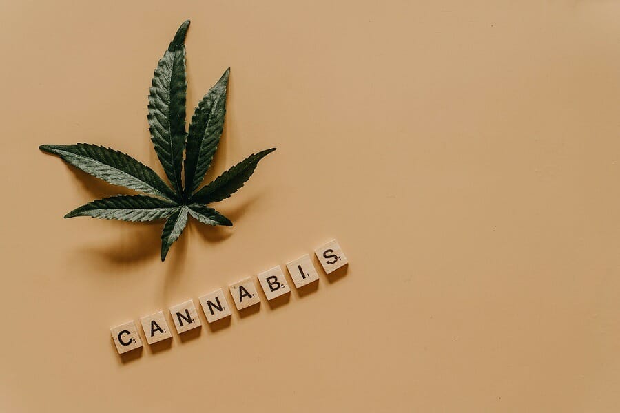 | BC Weed Edible Canada Cannabis weed | BC Weed Edible Canada