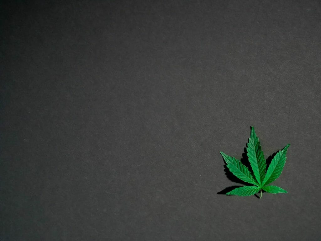 | BC Weed Edible Canada Hybrid Weed | BC Weed Edible Canada