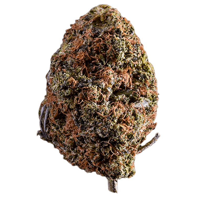Afghan Kush | BC Weed Edible Canada Afghan Kush | BC Weed Edible Canada