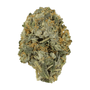 Chocolate Lava | BC Weed Edible Canada Chocolate Lava | BC Weed Edible Canada