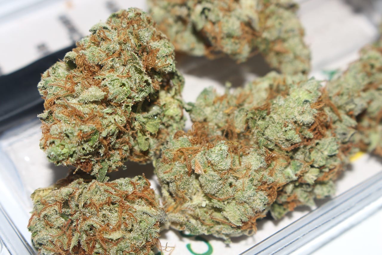 | BC Weed Edible Canada Hybrid edibles Strains | BC Weed Edible Canada