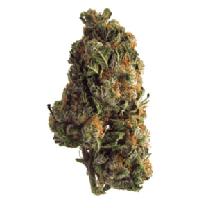 Grape Crush | BC Weed Edible Canada Grape Crush | BC Weed Edible Canada