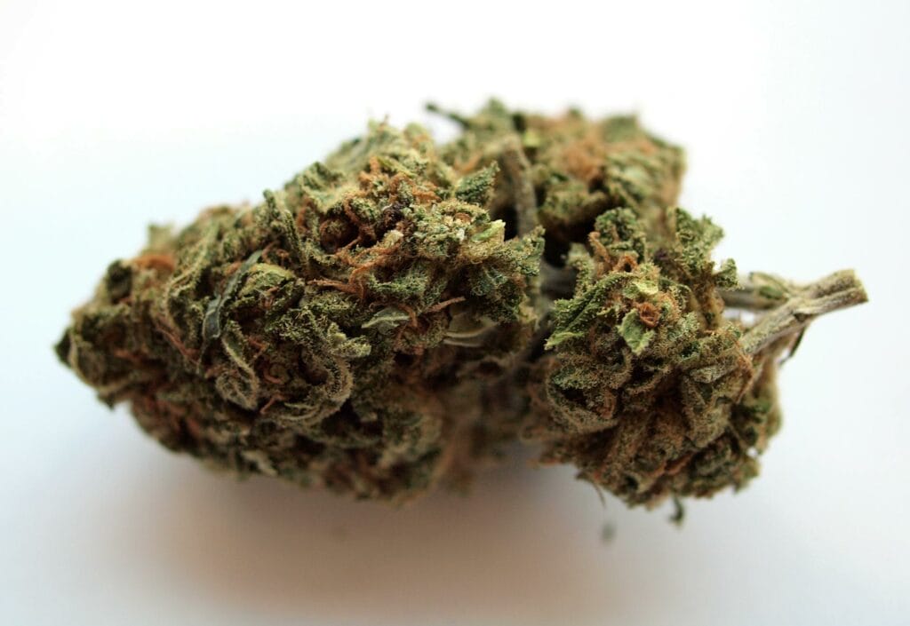 | BC Weed Edible Canada Buy edibles online | BC Weed Edible Canada
